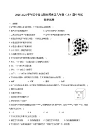 2025-2026学年辽宁省沈阳市浑南区九年级（上）期中化学试卷（含答案）