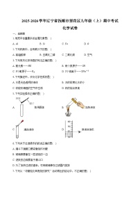 2025-2026学年辽宁省抚顺市望花区九年级（上）期中化学试卷（含答案）