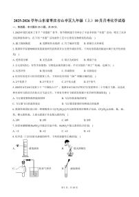 2025-2026学年山东省枣庄市山亭区九年级（上）10月月考化学试卷（含答案）