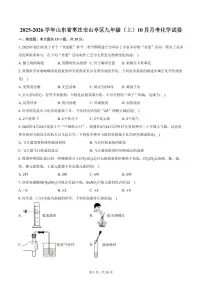 2025-2026学年山东省枣庄市山亭区九年级（上）10月月考化学试卷（含答案）