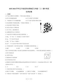 2025-2026学年辽宁省沈阳市浑南区九年级（上）期中化学试卷（含答案）