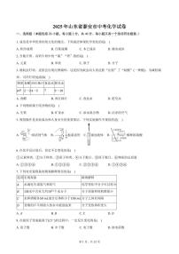 2025年山东省泰安市中考化学试卷（含答案）