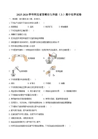 2025-2026学年河北省邯郸市九年级（上）期中化学试卷-自定义类型
