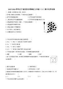 2025-2026学年辽宁省沈阳市浑南区九年级（上）期中化学试卷-自定义类型