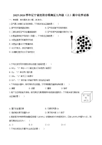 2025-2026学年辽宁省沈阳市浑南区九年级（上）期中化学试卷-自定义类型