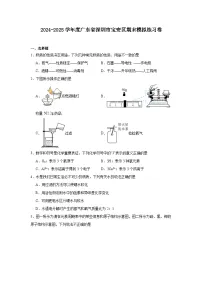 广东省深圳市宝安区2024-2025学年九年级上学期化学期末模拟练习卷含答案