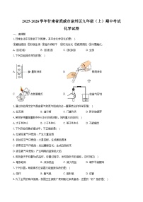 2025-2026学年甘肃省武威市凉州区九年级（上）期中化学试卷（含答案）