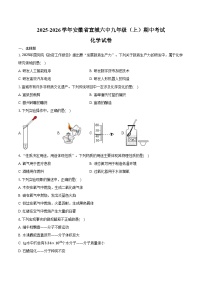 2025-2026学年安徽省宣城六中九年级（上）期中化学试卷（含答案）
