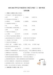 2025-2026学年辽宁省沈阳市于洪区九年级（上）期中化学试卷（含答案）