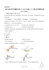 安徽省合肥第二十九中学2025-2026学年九年级上学期期中化学模拟试卷