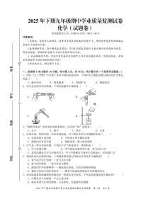 广东省肇庆市第一中学初中部 2025-2026学年九年级上学期期中学业质量监测化学试卷