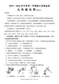 山东省济南市槐荫区2025-2026学年九年级上学期11月期中考试化学试题