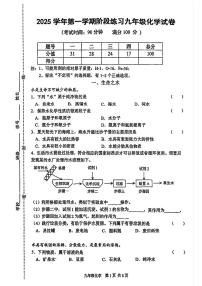 上海市闵行区2025-2026学年九年级上学期阶段练习联考化学试卷（月考）