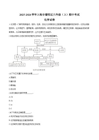 2025-2026学年上海市普陀区八年级（上）期中化学试卷（含答案）