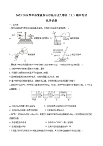 2025-2026学年山东省烟台市经开区九年级（上）期中化学试卷（含答案）