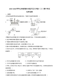 2025-2026学年山东省烟台市经开区九年级（上）期中化学试卷（含答案）