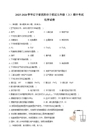 2025-2026学年辽宁省沈阳市于洪区九年级（上）期中化学试卷（含答案）