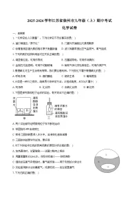 2025-2026学年江苏省徐州市九年级（上）期中化学试卷（含答案）