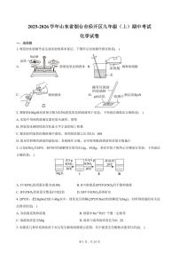2025-2026学年山东省烟台市经开区九年级（上）期中化学试卷（含答案）