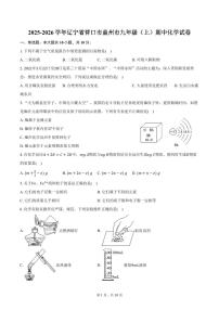 2025-2026学年辽宁省营口市盖州市九年级（上）期中化学试卷（含答案）