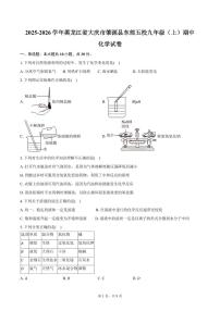 2025-2026学年黑龙江省大庆市肇源县东部五校九年级（上）期中化学试卷（含答案）