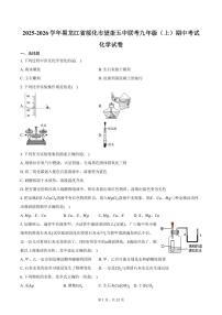 2025-2026学年黑龙江省绥化市望奎五中联考九年级（上）期中化学试卷（含答案）