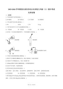 2025-2026学年黑龙江省齐齐哈尔市多校九年级（上）期中化学试卷（含答案）