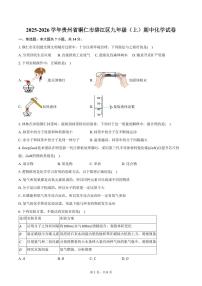 2025-2026学年贵州省铜仁市碧江区九年级（上）期中化学试卷（含答案）