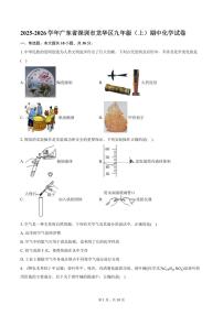 2025-2026学年广东省深圳市龙华区九年级（上）期中化学试卷（含答案）