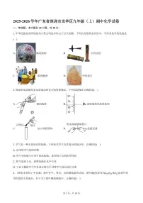 2025-2026学年广东省深圳市龙华区九年级（上）期中化学试卷（含答案）
