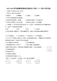 2025-2026学年新疆阿勒泰地区福海县九年级（上）期中化学试卷-自定义类型