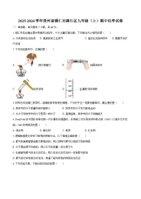 2025-2026学年贵州省铜仁市碧江区九年级（上）期中化学试卷-自定义类型