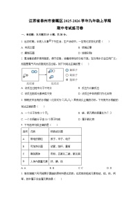 江苏省泰州市姜堰区2025-2026学年九年级上学期期中考试练习卷化学试卷（学生版）
