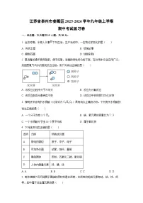 江苏省泰州市姜堰区2025-2026学年九年级上学期期中考试练习卷化学试卷（学生版）