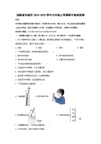 河南省许昌市2024~2025学年九年级上学期期中测试化学试卷（学生版）
