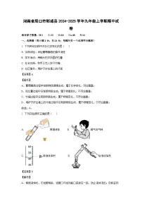 河南省周口市郸城县2024-2025学年九年级上学期期中化学试卷（解析版）