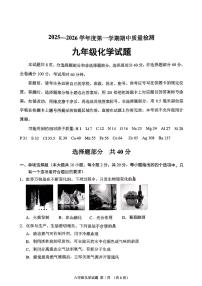 山东省济南市历城区2025-2026学年第一学期九年级化学期中试卷（无答案）