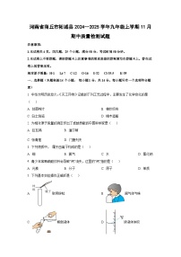 河南省商丘市柘城县2024--2025学年九年级上学期11月期中质量检测化学试卷（学生版）
