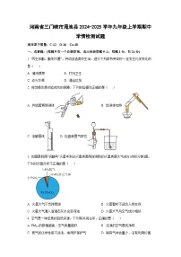 河南省三门峡市渑池县2024-2025学年九年级上学期期中学情检测化学试卷（学生版）