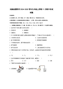 河南省濮阳市2024-2025学年九年级上学期11月期中考试化学试卷（学生版）