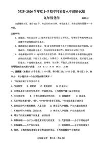 山东省临沂市罗庄区2025-2026学年九年级上学期11月期中考试化学试题