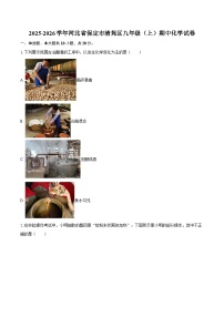 2025-2026学年河北省保定市清苑区九年级（上）期中化学试卷-自定义类型