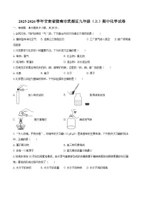 2025-2026学年甘肃省陇南市武都区九年级（上）期中化学试卷-自定义类型