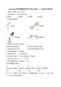 2025-2026学年新疆伊犁州伊宁县九年级（上）期中化学试卷-自定义类型