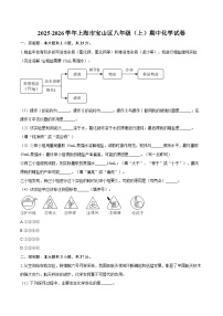 2025-2026学年上海市宝山区八年级（上）期中化学试卷-自定义类型