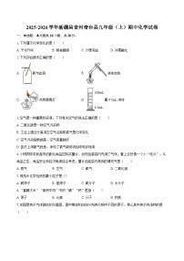 2025-2026学年新疆昌吉州奇台县九年级（上）期中化学试卷-自定义类型