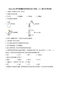 2025-2026学年新疆昌吉州奇台县九年级（上）期中化学试卷-自定义类型