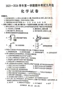 河南省洛阳市嵩县2025—2026学年九年级上学期期中考试化学试卷