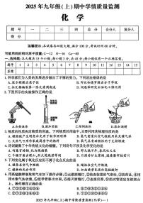 湖南省邵阳市新邵县2025-2026学年九年级上学期11月期中考试化学试题