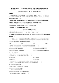 湖南省2025—2026学年九年级上学期期中测试优选卷化学试卷（学生版）